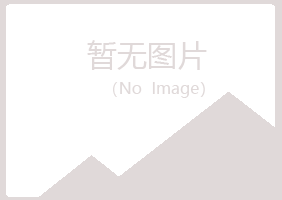 八公山区雁菱咨询有限公司